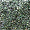 Pica Ace For Nail Powder Pica Ace Turbulence Cutting Aurora # 708 Green G Art Material