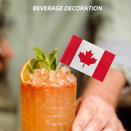YUHENGCT 100 Pcs Canada Flag Canadian Toothpick Flags,Small Mini Stick Cupcake Toppers Canadian Flags,Cocktail Food Flags Decorations
