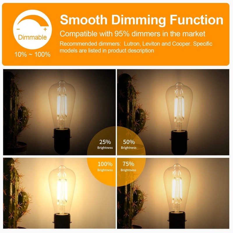 12Packs ST64 Large Vintage LED Edison Bulbs, 60W Equivalent 7W,
