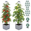 ENNUFO Tomato Planter with Trellis 57", 2-Pack Self Watering Raised