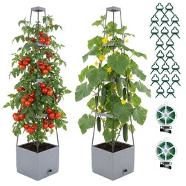 ENNUFO Tomato Planter with Trellis 57", 2-Pack Self Watering Raised Garden Bed with Trellis, Tomato Cages for Garden, Tomato Pots for Growing Tomatoes, Vegetable Planter, Tomato Plant Support Cage