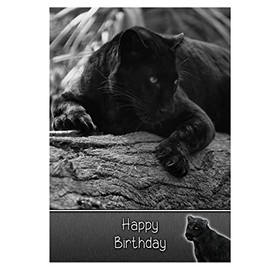 Black Panther Birthday Card