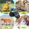 Weesiber Dog Shoes, Paw Protection, Pack of 4 Breathable Dog