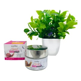 Crema Facial De Colgeno Con Baba De Caracol Antiarrugas 50g Momento De Aplicacin Danoche Tipo De Piel Todo Tipo De Piel                               