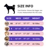 IVY&LANE No Pull Dog Harness with Leash Set, Reflective No