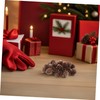 VICASKY 100pcs Christmas Natural Pine Cones - Thanksgiving Mini Pinecones