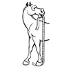 Tough 1 Sure Measure Horse and Pony Height/Weight Tape
