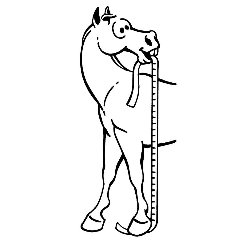 Tough 1 Sure Measure Horse and Pony Height/Weight Tape