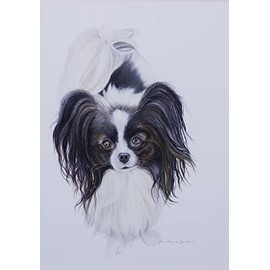 Papillon - Best of Breed Portrait Garden Flag