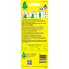Little Trees BlackBerry Clove 24 Pack