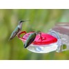Aspects 437 (2 Pack) The Gem Window Hummingbird Feeder