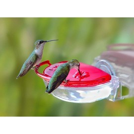 Aspects 437 (2 Pack) The Gem Window Hummingbird Feeder