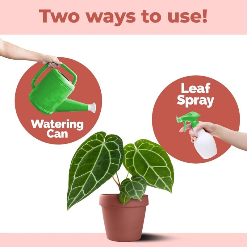 Anthurium Fertilizer, Complete Liquid Anthurium Plant Food, 8 oz (250mL)