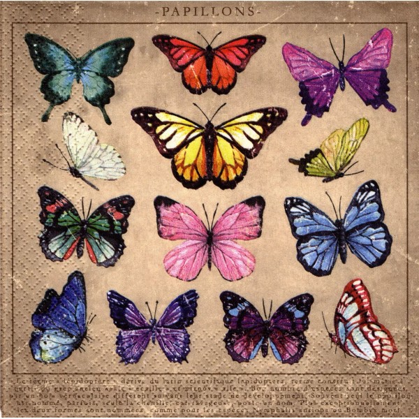 (2) Two Paper Lunch Napkins for Decoupage/Mixe