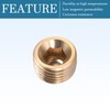 QUARKZMAN 1/4 Inch G Male Thread Brass Pipe Fittings x