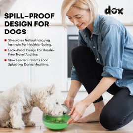 DDOXX Slow Feeder Dog Bowl - Dog Bowls That Slow Down Eating - Anti-Choking Puppy Slow Feeder - Maze Food Bowl for Slow Feeding - Prevent Bloating, Promote Healthy Eating - Puzzle Design - Green