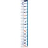 Kutsuwa STAD HS15A-10P Math Ruler, 5.9 inches (15 cm), Pack