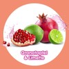 Sagrotan All-Purpose Cleaning Cloths Pomegranate and Lime Pack of 60