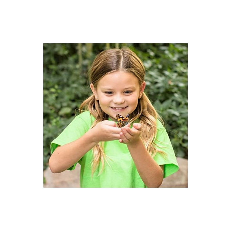 Insect Lore Funtastic 4 Cups of Caterpillars