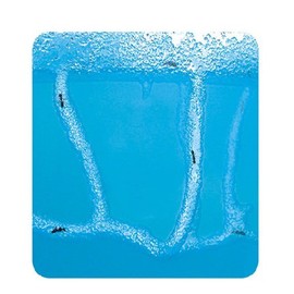 Blue Mini Gel Ant Farm (1) Reality Show 24/7 365