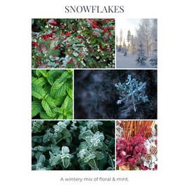 Eco Candle Co. Eco Beans Wax Melts 2-Pack, Snowflakes, 3.5 oz. - Scents of Winter, Flowers, & Mint - 100% Soy Wax Fragrance & Essential Oil Blends, Phthalate Free, Made from Midwest Grown Soybeans