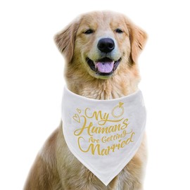 Engagement Gift, My Humans are Getting Married Dog Bandana, Wedding Photo Prop, Pet Scarf, Dog Engagement Announcement, Pet Accessories (Gold)