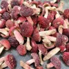 CHLYAET Dried Russula Red Mushroom Honggu (100g)