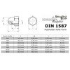 165-Piece Set of Cap Nuts High Shape According to DIN