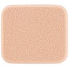 Color Hair Foundation Refill, Dark Brown, 0.4 oz (13 g)