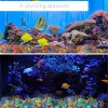 Unbranded Aquarium Ocean Shape Decorative Stones for Fish Tanks, Gardens