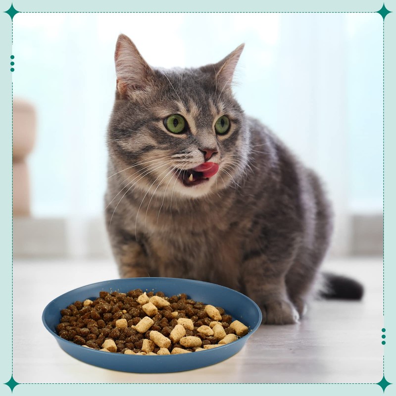 Gerrii 6 Pieces Shallow Cat Food Dish, Whisker Friendly, Lightweight,