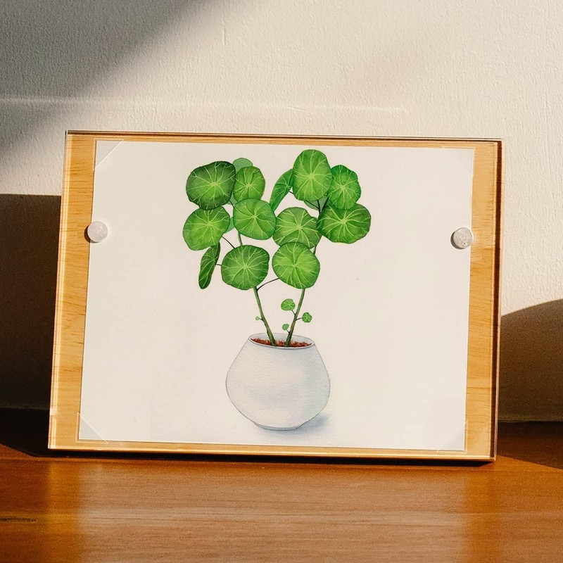 Lineco Infinity 0.625" Clear Acid-Free Archival Photo Corners Self Adhesive,