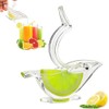 Acrylic Lemon Squeezer, Bird Design, Lime Green and Yellow