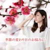 Lipsa Benifuuki Green Tea Capsules, For Approximately 3 Months Supply,