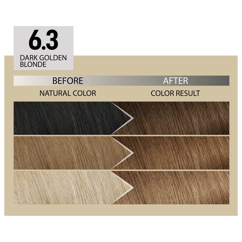 Alfaparf Milano Il Salone Plex Rebuilder Colour Kit 6.3 Dark