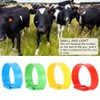 Animal Identification Bands, Multicoloured Cow Identification Band, Cattle Leg Bands,
