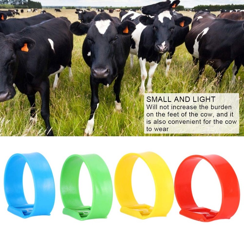 Animal Identification Bands, Multicoloured Cow Identification Band, Cattle Leg Bands,