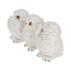 Nemesis Now Three Wise Owls Figurine 9cm White