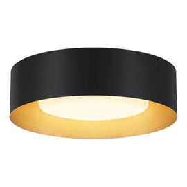 Goomavi Modern Flush Mount Ceiling Lights,Minimalist 12.5IN Round Close to Ceiling Light Fixture,Black and Gold Metal Ceiling Lighting Lamp for Entryway,Hallway,Kitchen,Bedroom