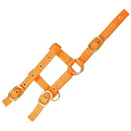 EKKIA Adjustable Mini Headcollar Orange Mini Foal Size