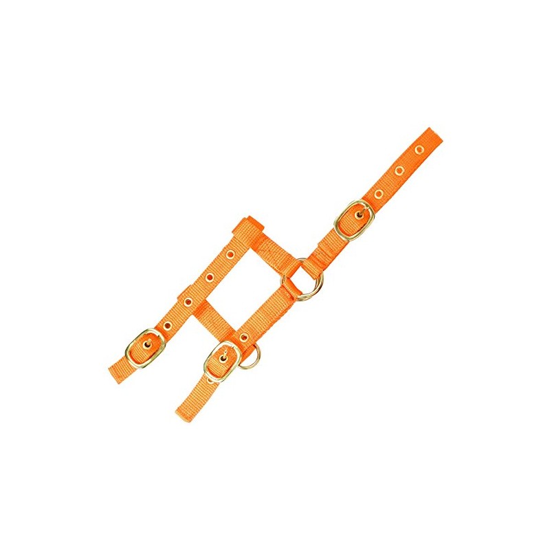 EKKIA Adjustable Mini Headcollar Orange Mini Foal Size