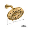 Bellerose 3-Spray Patterns 1.75 GPM 8 in. Wall Mount Fixed
