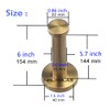NELXULAS Golden Brushed Stainless Steel Single Heavy Duty Wall Mount