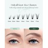 Lash Clusters Eyelash Extension Pre-styled Natural Lashes Clusters C Curl