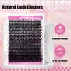 FADLASH Lash Clusters Natural Eyelash Clusters 168Pcs Individual Wispy Lash