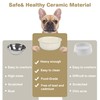 Single Replacement Bowl for 6.3'' High Elevated Dog Bowls, Non-Slip