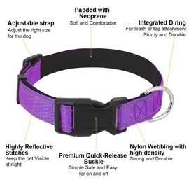 Dog Collars Adjustable for Small Dogs,Heavy Duty Waterproof Dog Collar with Quick Release Buckle,Girl Boy Female Male Reflective Nylon Dog Collar with Soft Neoprene Padded,S,Purple