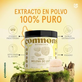 Hongo Melena de Leon - Extracto Puro en Polvo 100 gr - Más de 5 Meses de Suministro - Suplemento Natural - Hongos Adaptógenos - Cuerpo Frutífero - Lio