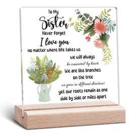 Sister Acrylic Plaque Sister Gifts from Sisters Birthday Gifts for Friend Bestie Long Distance Friendship Clear Desk Decorative Mothers Day Acrylic Plaque with Wooden Stand Office Decor