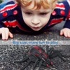 Infrared Spiders Remote Control Mock Fake Animal Trick RC Toy